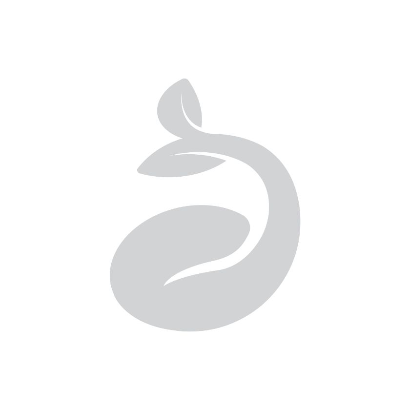 giáo dục cho trẻ em Place